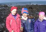 DSC00334 (Small).JPG (84657 bytes)
